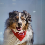 Image d'une décoration murale