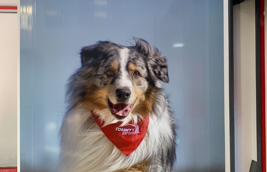 Image d'une décoration murale